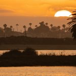 A row of homes in San Diego