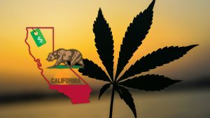 California Cannabis Tax