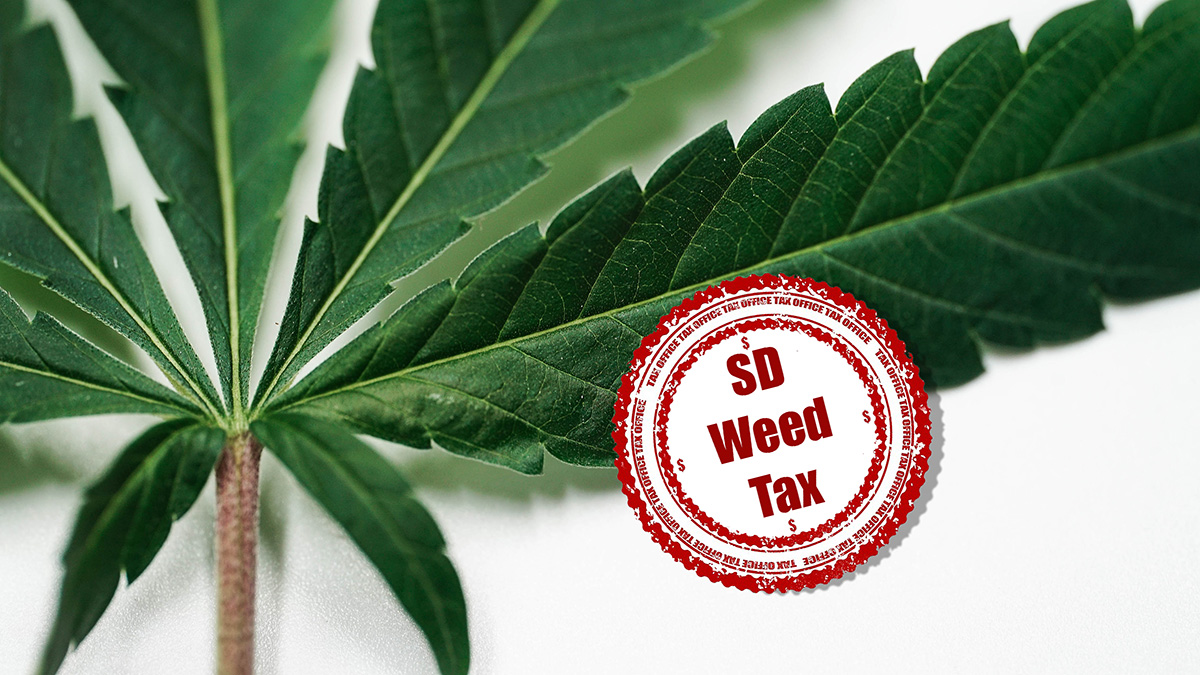 what-s-the-deal-with-san-diego-weed-tax-what-you-need-to-know