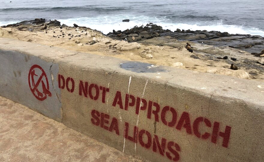 Point La Jolla - Seasonal Closure, Parks & Recreation