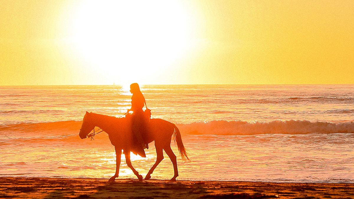 The Weather in Rosarito Best Times to Travel in Baja