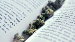 Discounts on Cannabis as a Teacher in San Diego