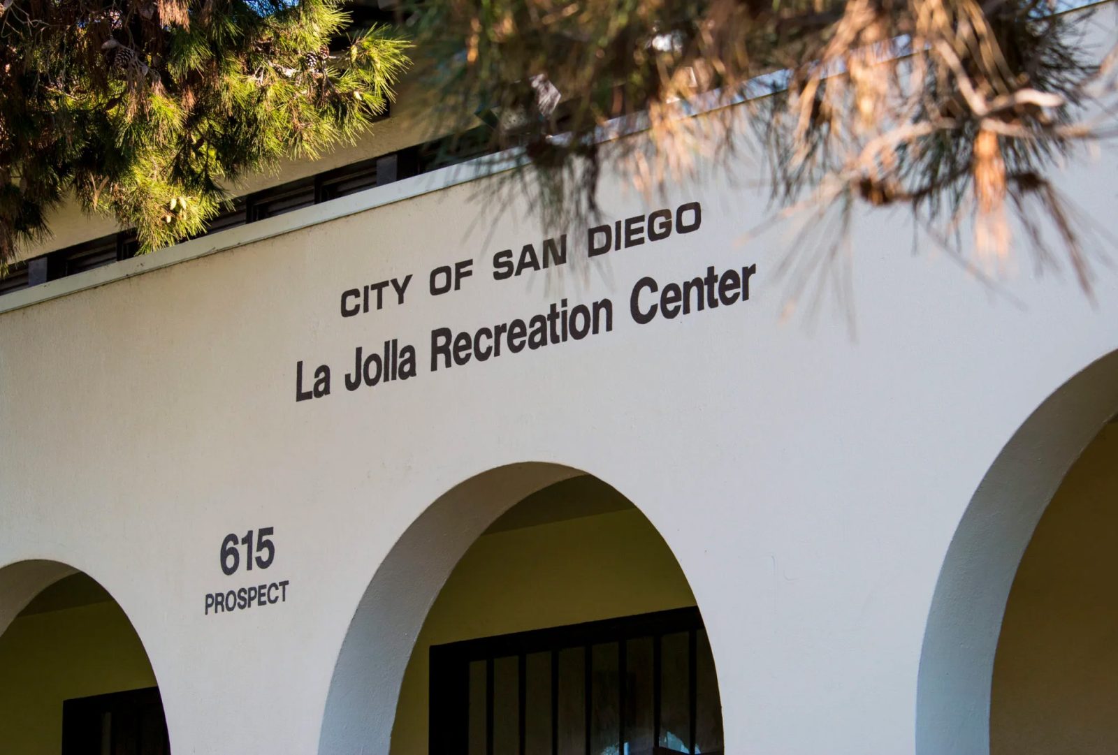 la-jolla-city-council-meeting-agenda-included-swimming-at-la-jolla-cove