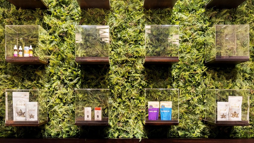 Side Effects of CBD in Elderly - Cannabist Dispensary