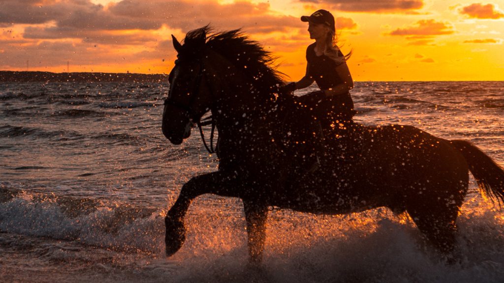 San Diego November Activities - Horseback Riding