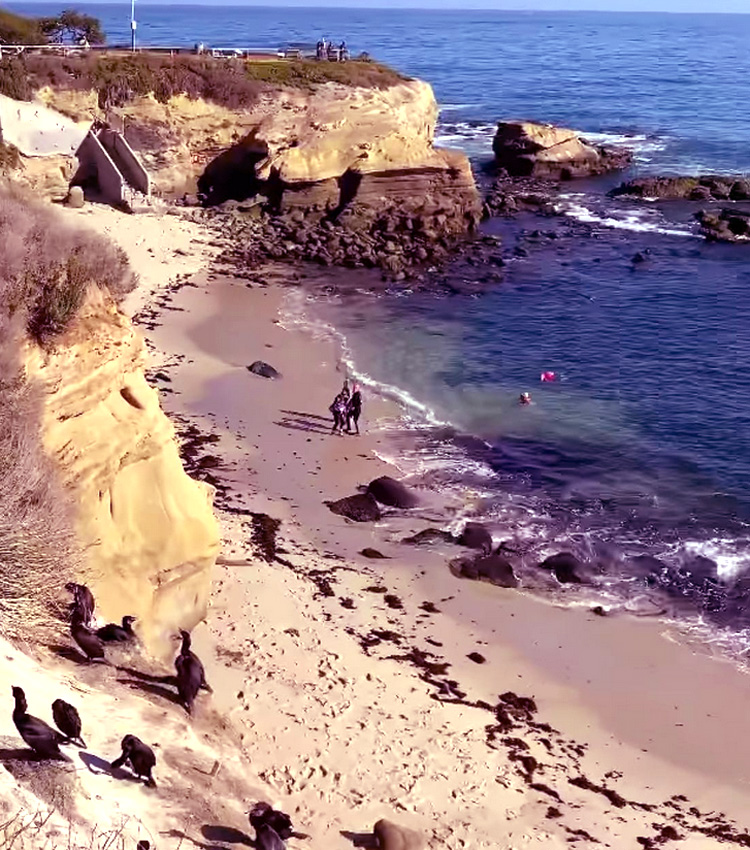 Showcasing the Best Beaches of La Jolla – San Diego Beach Secrets