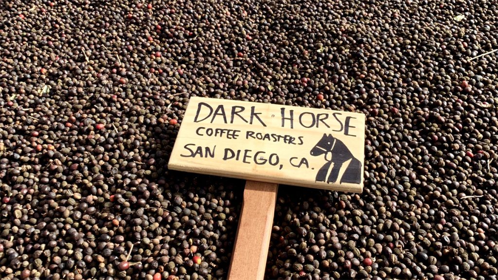 Brazilian Coffee - Dark Horse Coffee Roasters San Diego