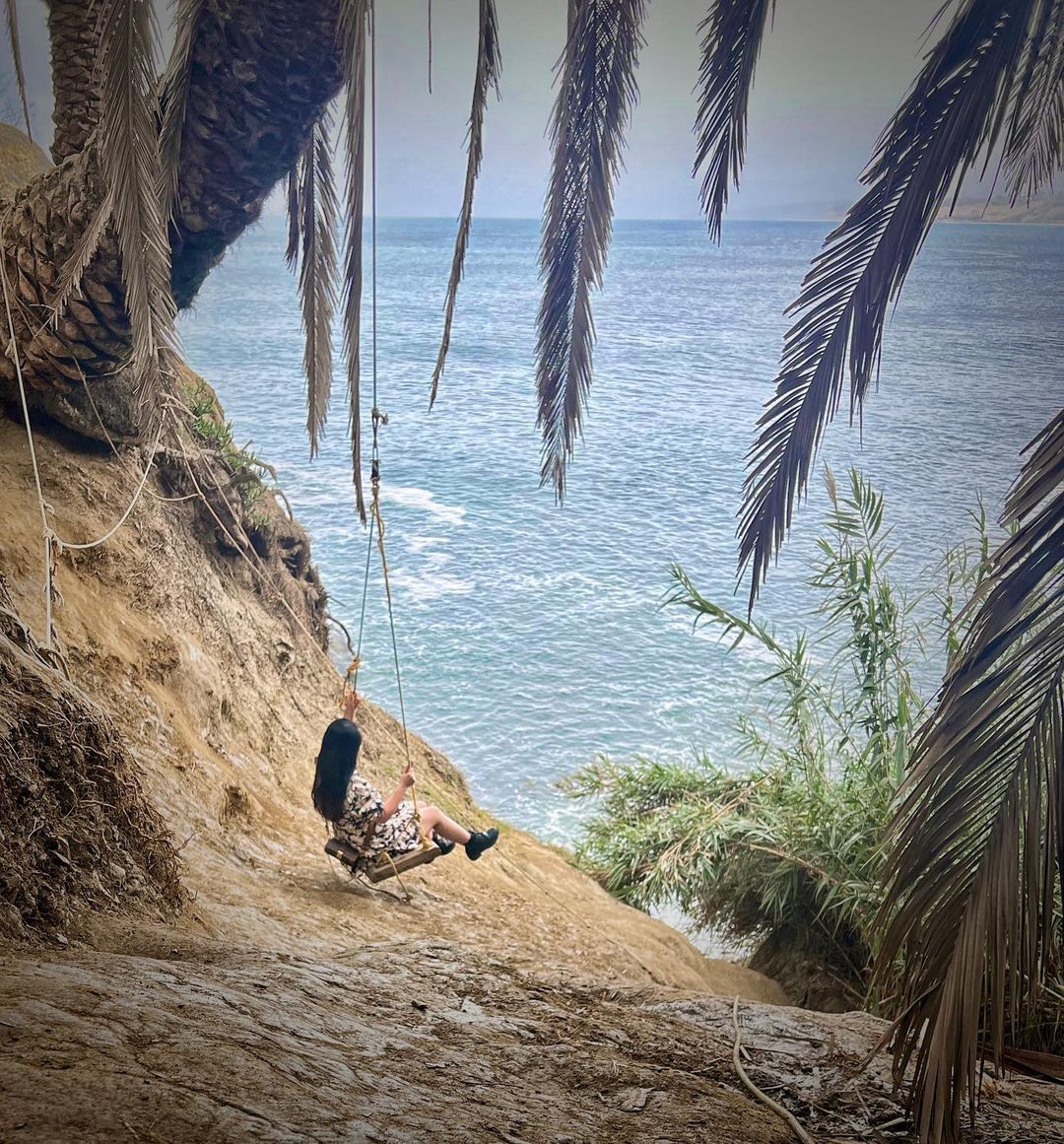 A Local Mystery Secret La Jolla Swing Disappears, Reappears