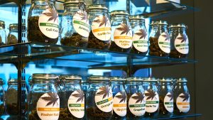 Best Dispensaries Near Normal Heights San Diego