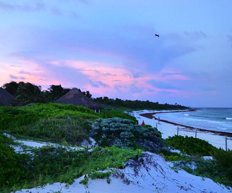 Visita Tulum Playa Xcacel