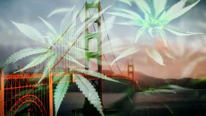 Driving while high in San Francisco