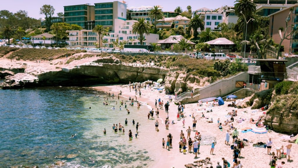 WATCH: Lifeguards Ask Girl to Leave La Jolla Cove Sea Lions Alone – NBC 7 San  Diego