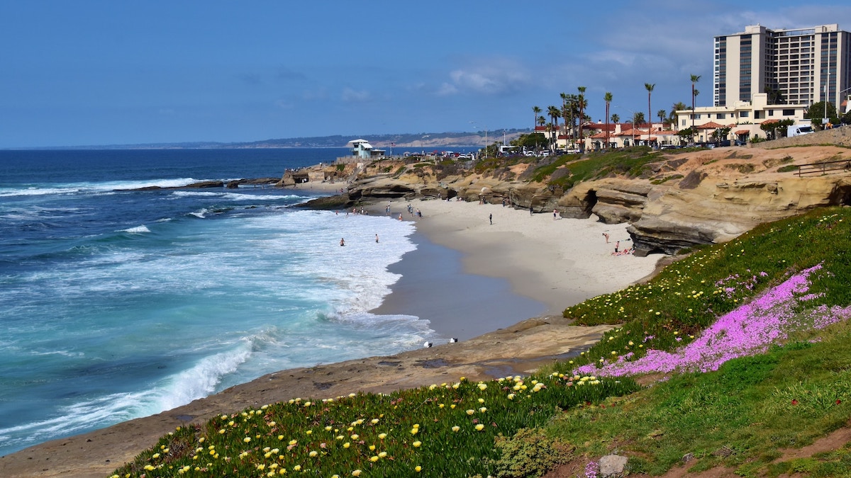 La Jolla beach-goers, be on the lookout for colorful