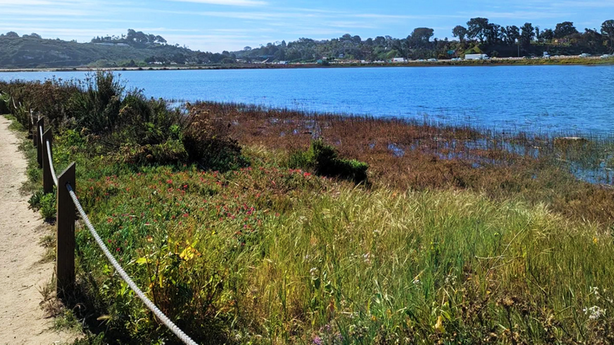 50-65 dating cralesbad to lajolla 50-65 dating cralesbad to lajolla