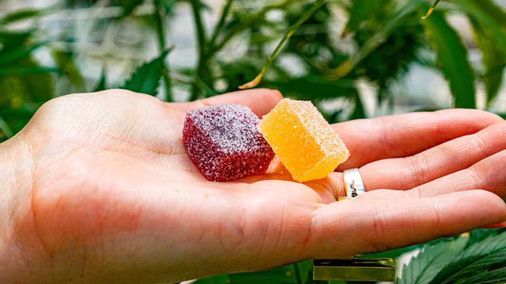 Best weed gummies San Diego