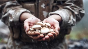 mushrooms in the treatment of PTSD
