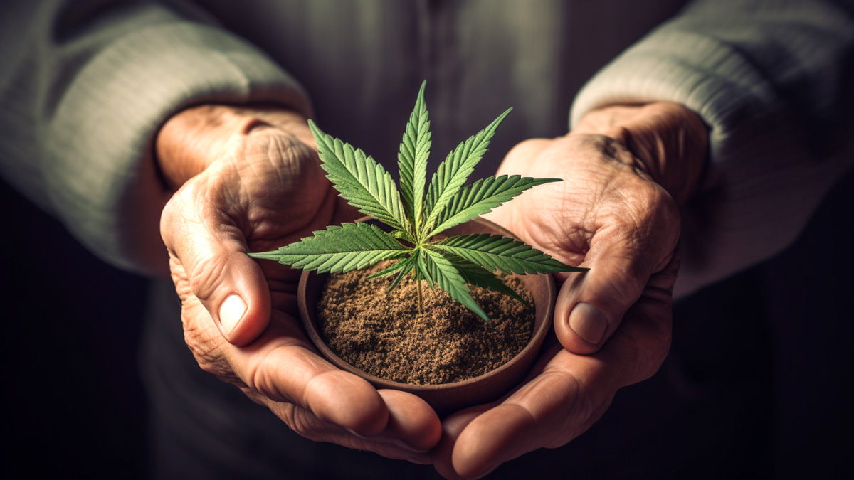 Does Weed Help With Arthritis? Relief & Benefits