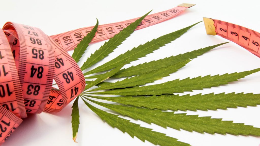 Does Weed Help With Weight Loss?