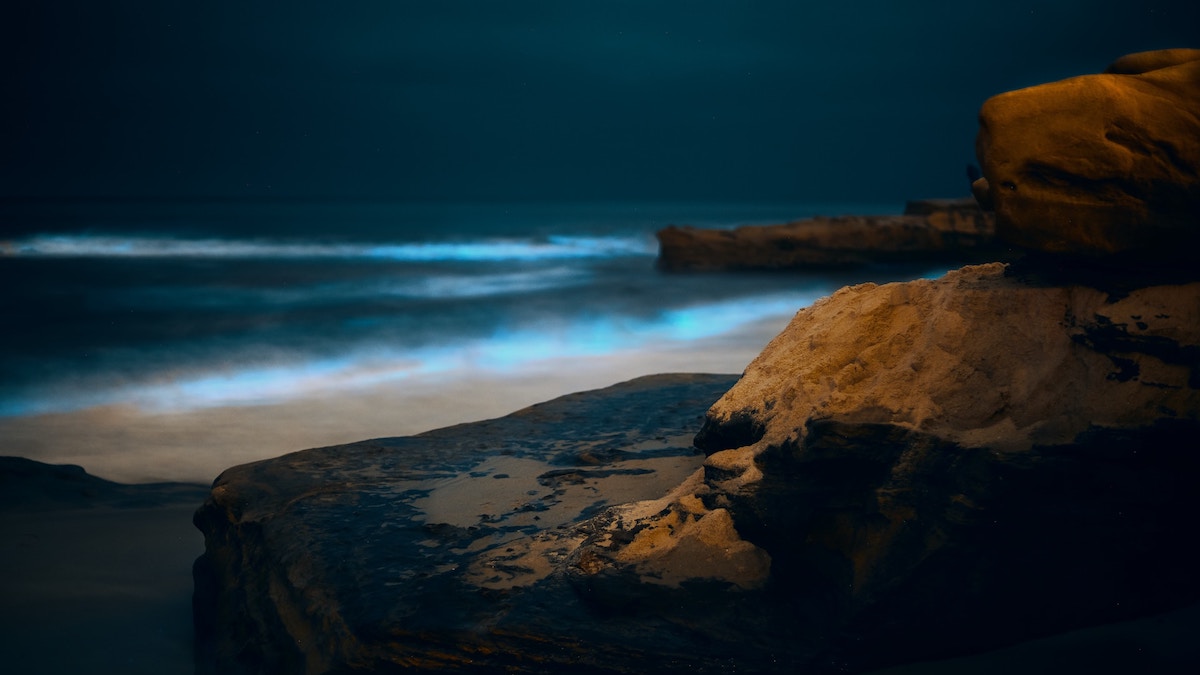 Red Tide  La Jolla