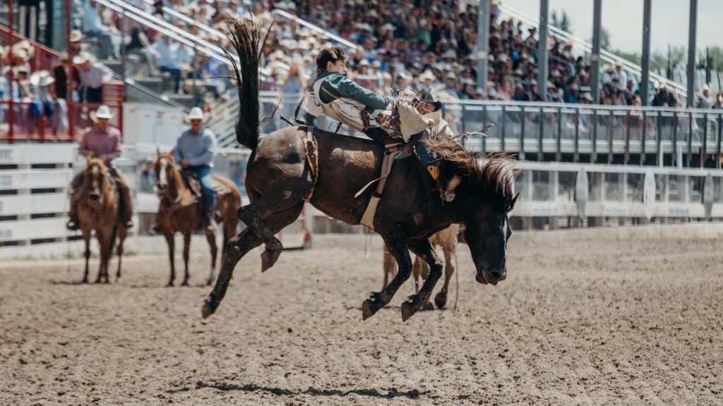 First San Diego Rodeo at Petco Park Slated for Early 2024