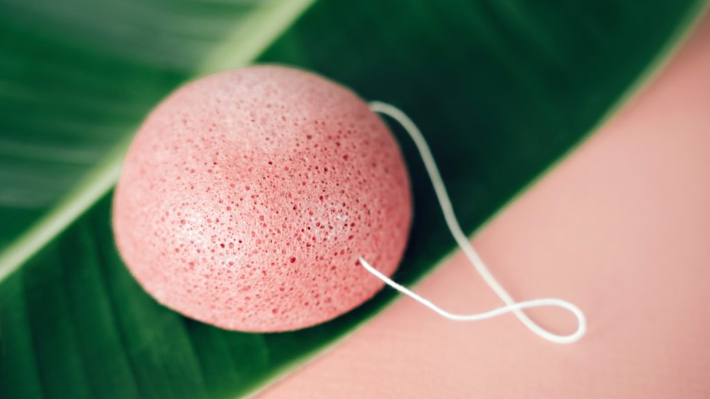 Guide to the konjac sponge