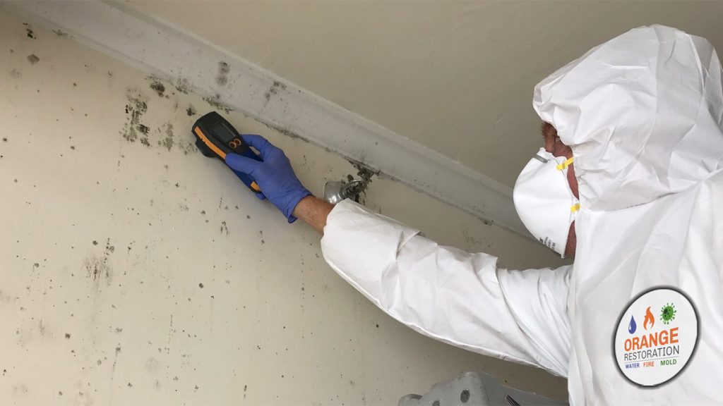 Got mold in attic? Orange Restoration in La Jolla can help.