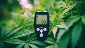 Does weed help with diabetes