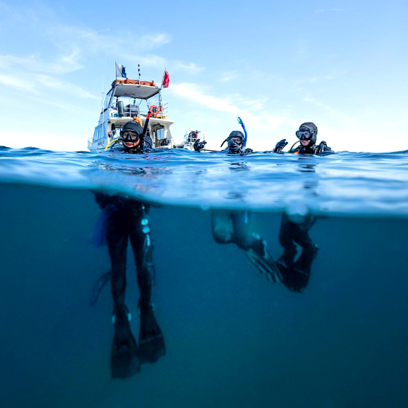 Get Scuba diving license instructions in San Diego at Odyssea Adventures