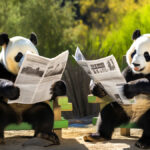 La Jolla July News Roundup 2024