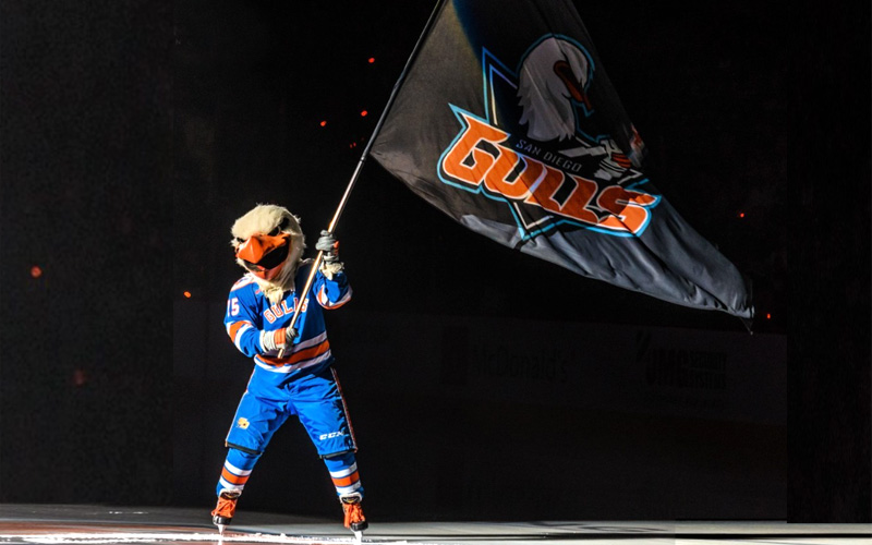 Things to do in San Diego when it rains - Catch the SD Gulls at Pechanga Arena