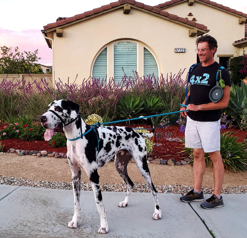 San Diego walkable city - dog walking