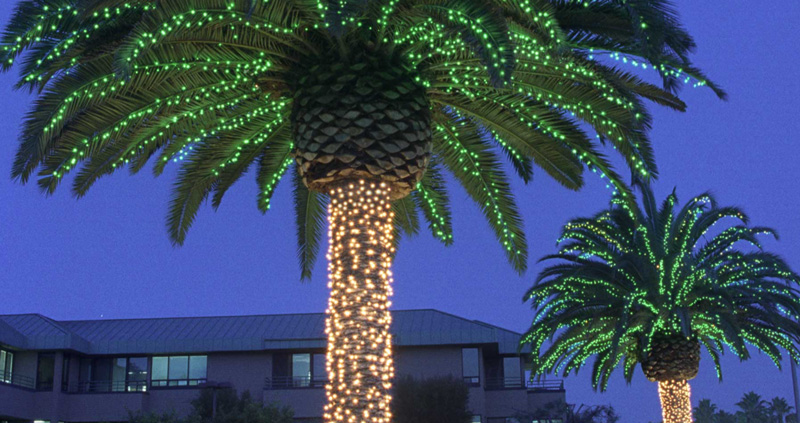 Christmas Light Installers in La Jolla - Christmas Light Hanging