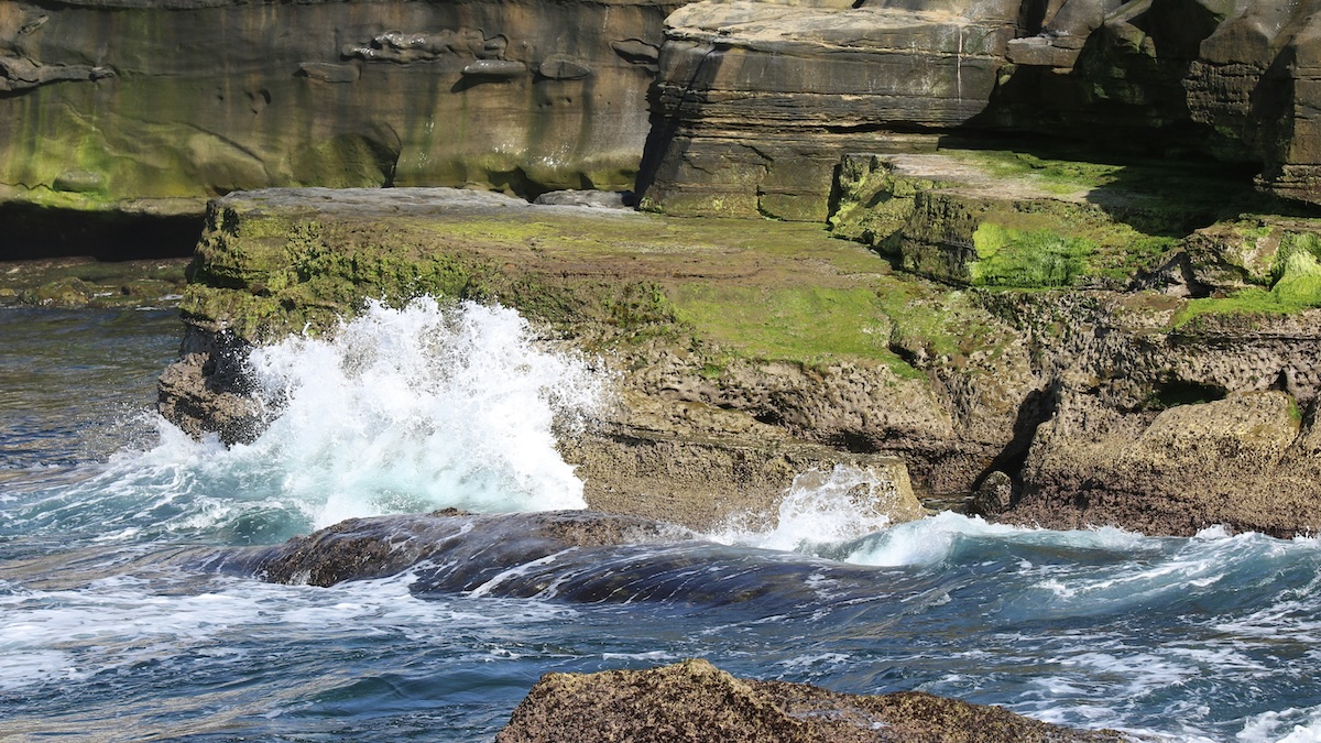 Itinerary for a Perfect Day at La Jolla Cove
