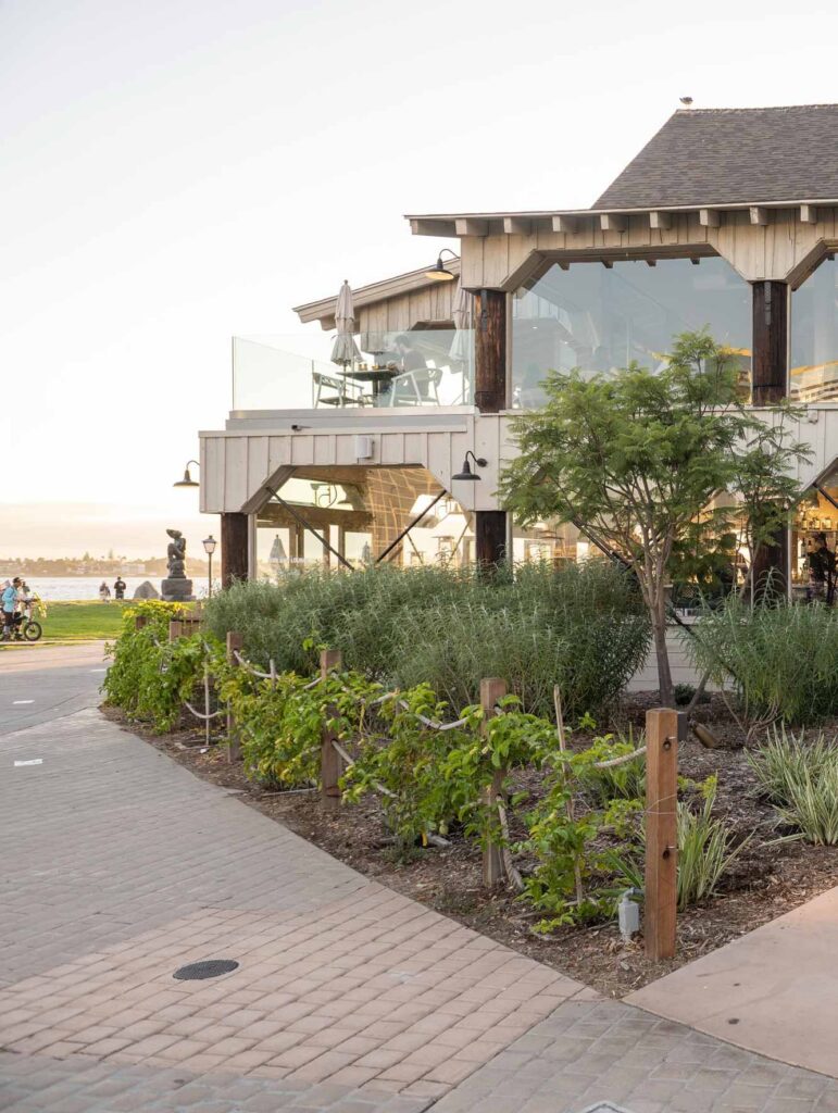 Yoga at the Farm: Malibu Farm in Seaport Village. July 13th 2025