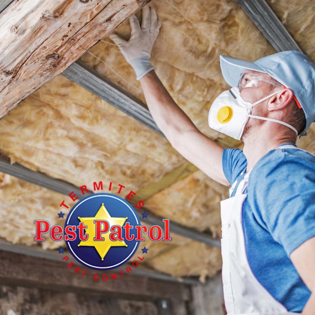 Pest Patrol Termite Control Company in San Diego